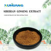 Siberian Ginseng Extraktpulver