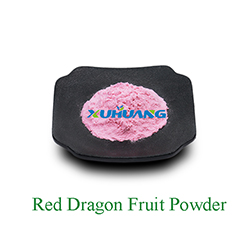 Rotes Pitaya-Pulver