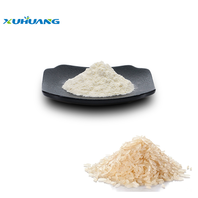 Reisproteinpulver